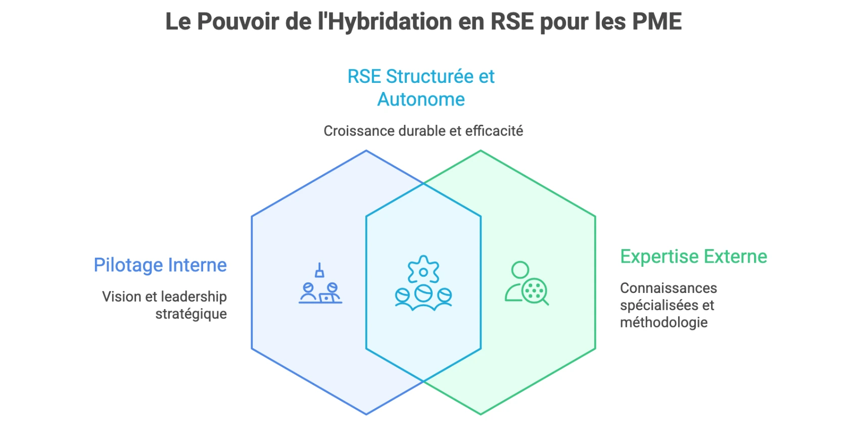 Modèle hybride de pilotage RSE en PME combinant pilotage interne et expertise externe