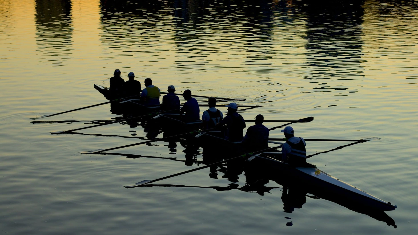 Une équipe de huit rameurs et un barreur en silhouette sur une rivière au coucher du soleil. Les rames frappent l'eau en parfaite synchronisation, illustrant la synergie des parties prenantes.