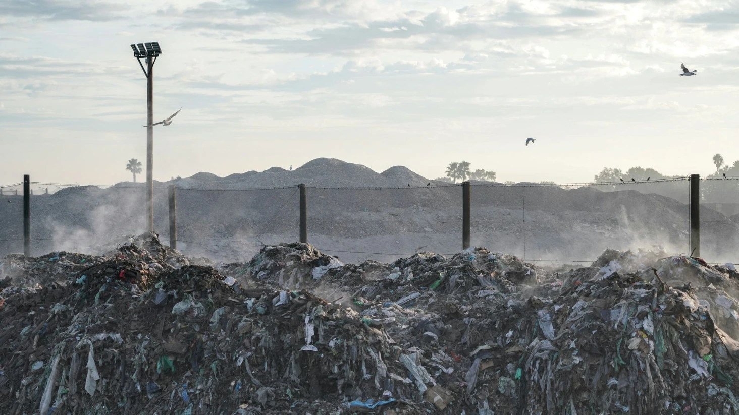 déchets au premier plan près de la nature