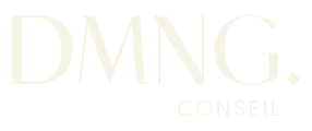 DMNG Conseil